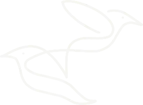 cliniquedentairedonbosco